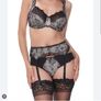 Fantasie Isabella - Underwired Side Support Bra 30F and Briefs XS - Shadow - BNWT RRP 84 Image 3