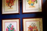 Vintage french botanical prints x 4