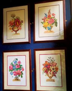Vintage french botanical prints x 4