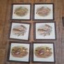 vintage tablemats Image 5