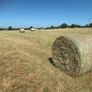 Round bales of hay (No fert, sprays or slurry ) Image 3