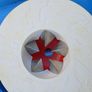 Creative Culinary Miracle Craft Cutter Image 6