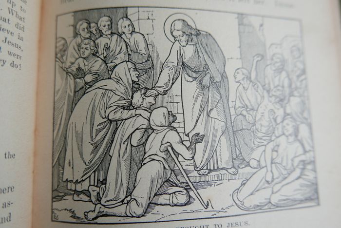 The Illustrated Bible History (Rev. I. Schuster - 1925)