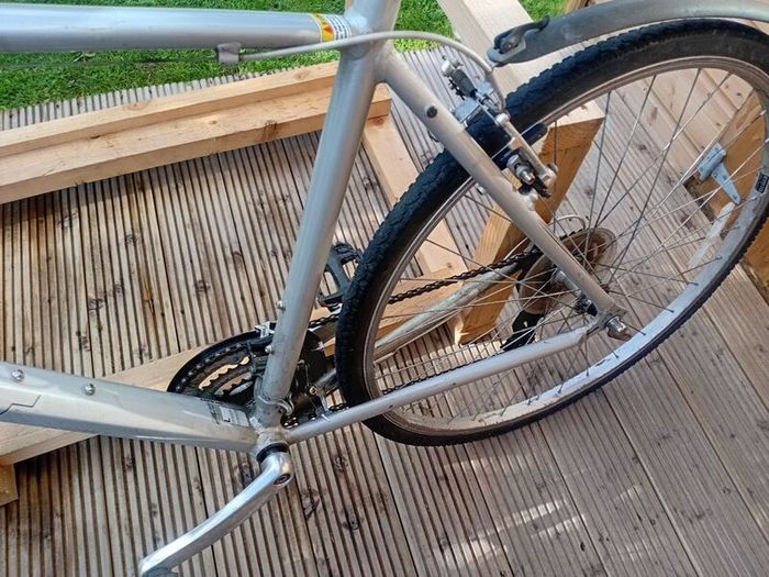 adults bike