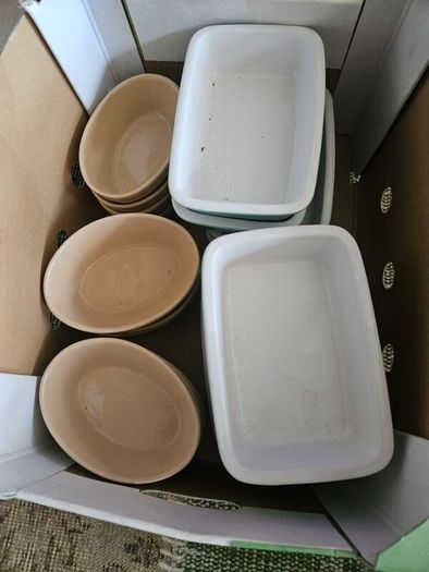 tapas dishes