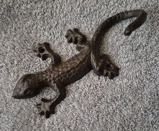 Cast iron geko wall hook.