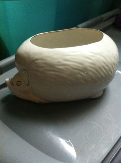 Ceramic Dish