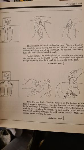 Hand And Food Reflexology. By Kevin And Barbra Kunz. The Unique Self-health Approach To Wellness. Large Volume Paperback In Good Condition.