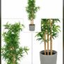 QUICK SALE (Moving out SALE) - Large Faux Bamboo Plant & Grey Floor Vase (Dublin 13) Image 5