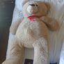 Billy Bear Image 2