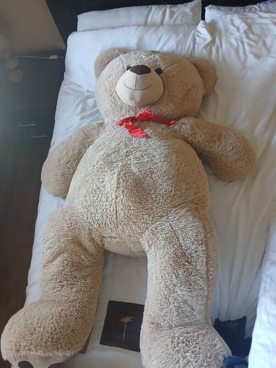 Billy Bear