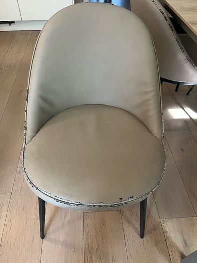dining chairs - set of 6 (2 carvers and 4 dining chairs)