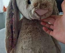 Jellycat Bunny