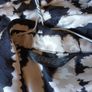 Dunnes  Stores  Dress.  S. 18.   New - No Tag. Image 5