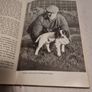 Training Spaniels  .Joe Irving Image 3