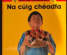 Na cuig cheadfa