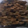timber Image 2