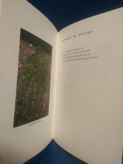 A Bittern Cry, Francis Ledwidge