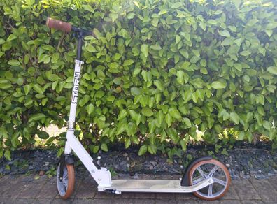 kids scooter