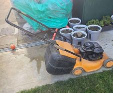 Petrol Lawnmover