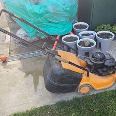 Petrol Lawnmover