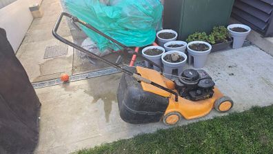 Petrol Lawnmover