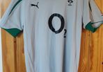 Ireland rugby shirt