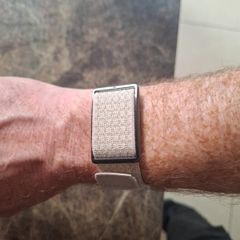 polar loop
