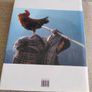Himalaya by Eric Valli 2004 400 pages and 200 illustrations large coffee table book hardback with dustcover in very good condition with some signs of wear on the dustcover see photos FREE STANDARD POSTAGE INCLUDED Image 4
