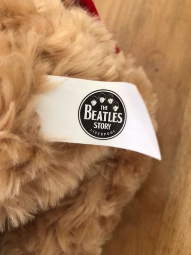 The Beatles story