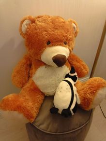 Teddy Bear Large Size