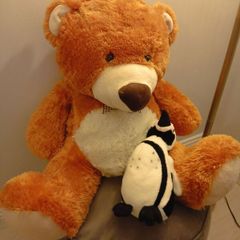 Teddy Bear Large Size
