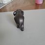 Elephant ebony Image 4