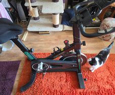 Micyox Spin Bike (12kg flywheel)