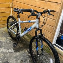 teens bike