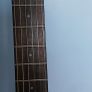 Ibanez AEG50N nylon acoustic Image 6