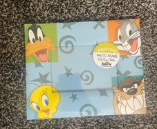 looney Tunes picture frame