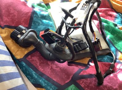2015-18 Ford Focus Rear Right Door Wiring Loom