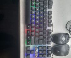 gaming keyboard and usb mice