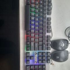 gaming keyboard and usb mice