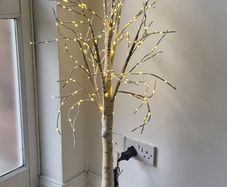 led birch tree