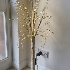led birch tree