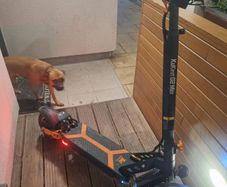 E Scooter. New Kukirin G2 Max With Warranty And Only 320klms . Good Solid Scooter With No Issues Whatsoever.had Very Little Use.