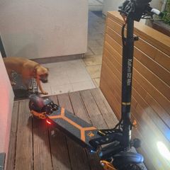 E Scooter. New Kukirin G2 Max With Warranty And Only 320klms . Good Solid Scooter With No Issues Whatsoever.had Very Little Use.