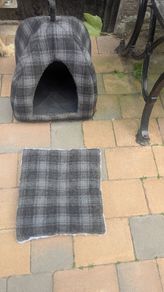 Cat Igloo