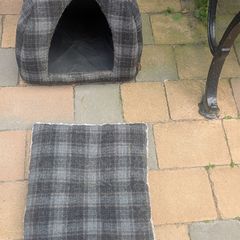 Cat Igloo