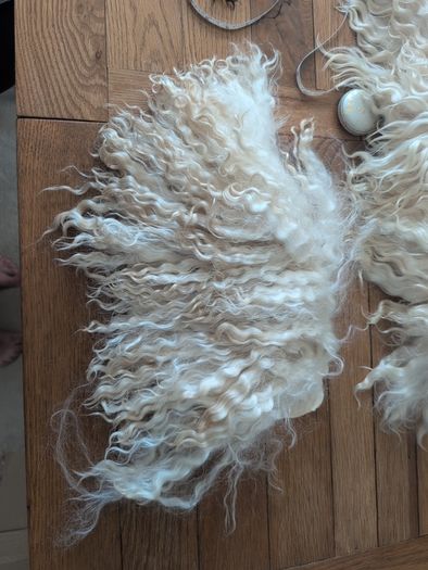 Doll hair Goat skin with long curls