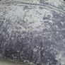 Extra Large Feather-filled Cushion Image 10