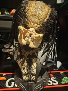 sideshow predator bust
