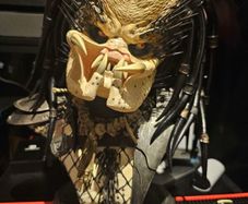 sideshow predator bust
